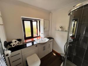 a bathroom with a sink and a shower at Detached 3 Bed Cottage Mountain Views- Pets Wifi in Beaumaris +36 photos