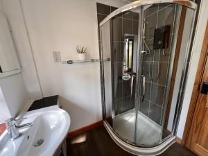 a bathroom with a shower and a toilet and a sink at Ty Efail Cottage mountain views & secure garden in Beaumaris