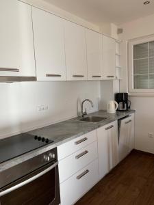 Η κουζίνα ή μικρή κουζίνα στο Apartman Royal Lino