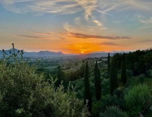 Sonnenuntergang auf einem Feld mit Zypressen und Sonnenuntergang in der Unterkunft Villa de Luccheri in Frasso Telesino