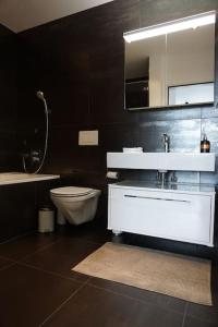 uma casa de banho com um lavatório branco e um WC. em Switzerland Suite im 12. Stock em Thun