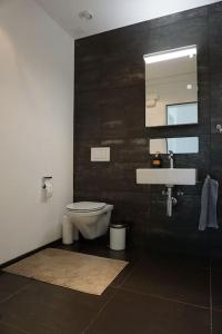 uma casa de banho com um WC e um lavatório em Switzerland Suite im 12. Stock em Thun