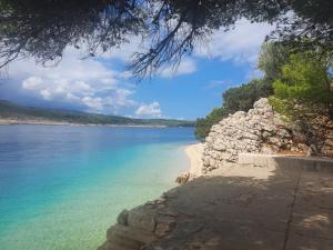 Fotografie z fotogalerie ubytování Villa Pupa A4, sea view apartment v destinaci Povlja