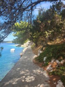 Fotografie z fotogalerie ubytování Villa Pupa A4, sea view apartment v destinaci Povlja