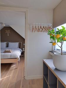ein Schlafzimmer mit einem Bett und einer Topfpflanze in der Unterkunft Bundi Beach in Egmond aan Zee
