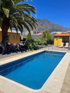 une piscine avec un palmier et une maison dans l'établissement Apartamentos Casa Rosán, junto a la Caldera de Taburiente, à El Paso