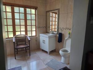 a bathroom with a toilet and a sink and a mirror at Garrett Guest House in Pretoria