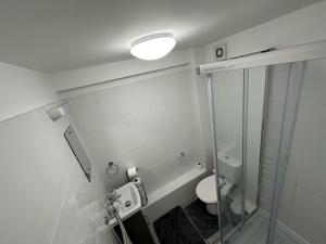 a bathroom with a toilet and a glass shower at Beautiful 1-Bed Apartment in Colchester in Colchester