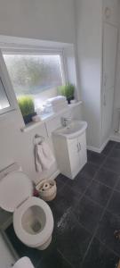 een badkamer met een toilet, een wastafel en een raam bij Southsea Home Stay : 2 Bedroom House with Garden and Hot Tub in Portsmouth