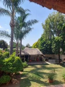 una casa con una palmera y un patio en Garrett Guest House, en Pretoria