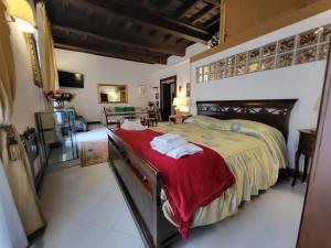Alloggio turistico Santa Rosa في فِتيربو: غرفة نوم بسرير كبير مع بطانية حمراء