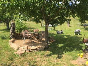 a table and chairs under a tree in a field at Fewo Odenwald - Marie in Breuberg