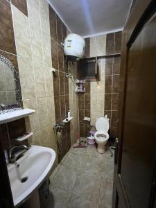 Un baño pequeño con lavabo e inodoro. en Sina market, en Dahab