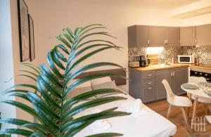 eine Küche und ein Wohnzimmer mit einer Palme in der Unterkunft Le Lagon / 100m Gare in Tours + 5 Fotos