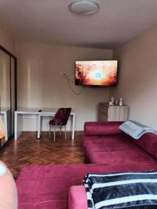 uma sala de estar com um sofá e uma televisão na parede em Apartament ANA em Carei