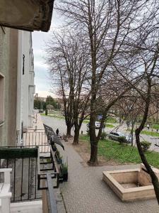 a sidewalk with benches and trees and a building at Apartament ANA in Carei