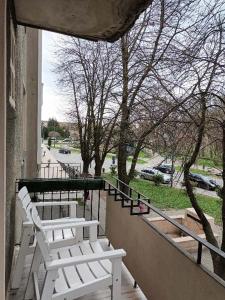 a group of white chairs sitting on a balcony at Apartament ANA in Carei