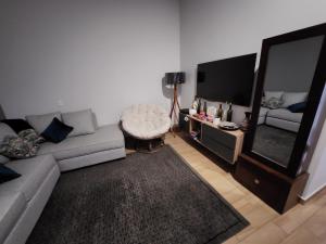 a living room with a couch and a large mirror at Cozy room in three floor apartment in Mexico City