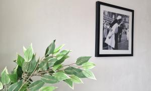 a picture hanging on a wall next to a plant at The Penthouse NY Loft Apartment in Barmouth