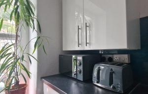 a kitchen counter with a microwave and a toaster oven at The Penthouse NY Loft Apartment in Barmouth