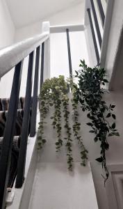 a plant sitting on the side of a staircase at The Penthouse NY Loft Apartment in Barmouth