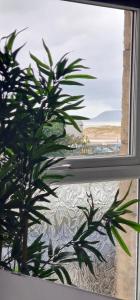a plant in a window with a view of the beach at The Penthouse NY Loft Apartment in Barmouth
