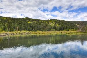Naturlandskabet i nærheden af lejligheden + 12 billeder