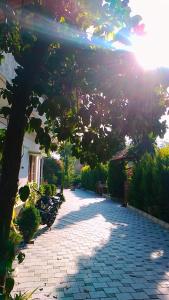 uma passarela de tijolos com uma árvore num jardim em Sakleshpur home stay em Sakleshpur