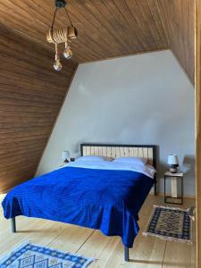 Afbeelding uit fotogalerij van Deka Achkhoti in Kazbegi