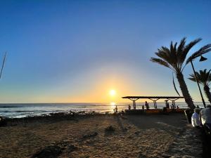 a beach with a palm tree and a sunset at Seaview Modern Studio in Playa de las Americas