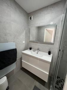 a white bathroom with a sink and a mirror at Super 4 Pièces refait à neuf in Villeurbanne
