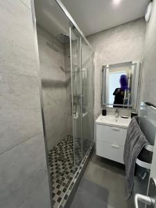 a bathroom with a shower and a sink and a mirror at Super 4 Pièces refait à neuf in Villeurbanne