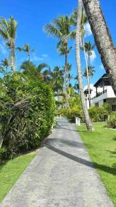 einen Weg mit Palmen und ein Haus in der Ferne in der Unterkunft Peaceful and lovely apartment! Front beach in Las Terrenas