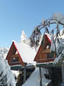 una cabaña de madera en la nieve en The Riverbank Nest, en Jibhi