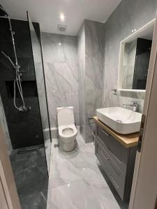 y baño con ducha, aseo y lavamanos. en Η Ιδανική Κατοικία για Χαλάρωση, en Pireo