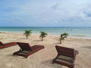 two chairs sitting on a beach with the ocean at Condos Azul Azul Mahahual in Mahahual