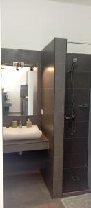 a bathroom with a sink and a mirror at VILLA FLEUR d'EBENE in Antsakomboena