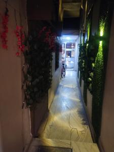 an alley way with plants on the side of a building at Hotal Balaji in Gwalior