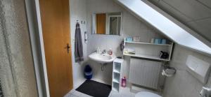 Baño pequeño con lavabo y aseo en Haus Rehblick 2, Wg 3, en Sankt Andreasberg
