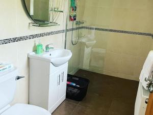 un bagno con lavandino, doccia e WC di Mountain View - Cosy Country Cottage a Cahersiveen Altre 3 foto