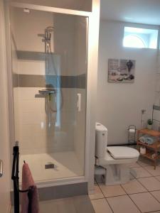 ein Bad mit einer Dusche und einem WC in der Unterkunft Ferme de l'Etang - Gîte in Épuisay