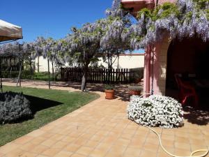 un patio con un montón de glicinas colgando sobre él en Due incantevoli stanze al mare, Sud Sardegna, en Flumini di Quartu