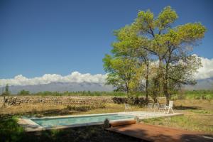 a swimming pool in a field with two chairs at La Martina. in Tunuyán