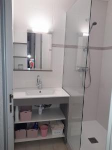 ein weißes Bad mit einem Waschbecken und einer Dusche in der Unterkunft Le Dignois in Digne-les-Bains