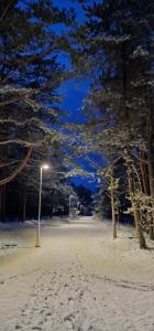 una luz de la calle en la nieve por la noche en Rasos Vila en Palanga