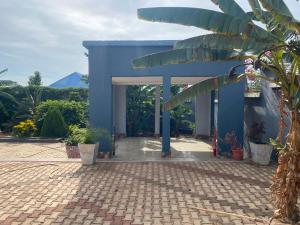 a blue building with a courtyard with potted plants at MKOLANI RELINI in Mwanza