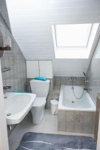a bathroom with a sink and a toilet and a skylight at Ferienwohnung Rebekka in Riedlingsdorf
