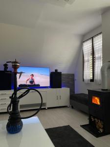 a living room with a tv and a fireplace at Vikendica Uvac in Priboj