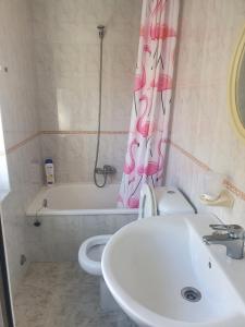 a bathroom with a sink and a toilet and a shower curtain at Piso da Charca in Fisterra +2 photos