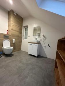 La salle de bains est pourvue de toilettes et d'un lavabo. dans l'établissement Noclegi Pniów 51, 